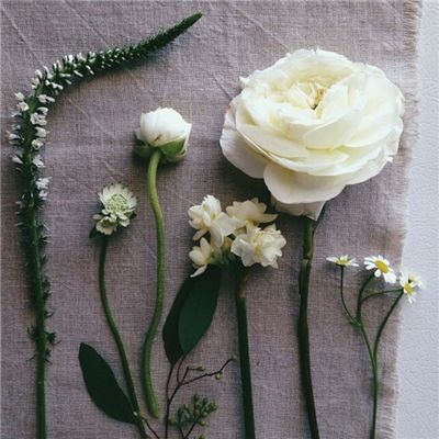 冲吧！滑雪的少年